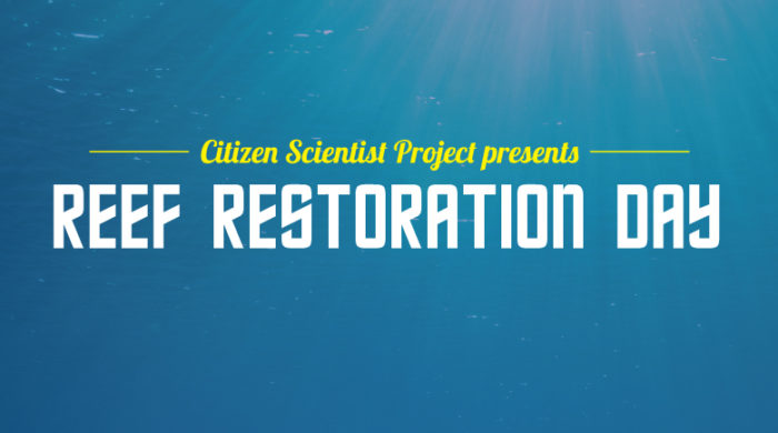 reef-restoration