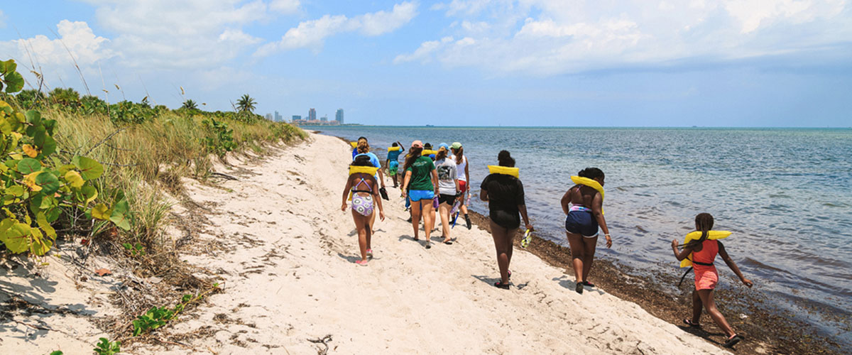 Apr 1-5 | Marine Biology Spring Break Camp - Key Biscayne Community ...