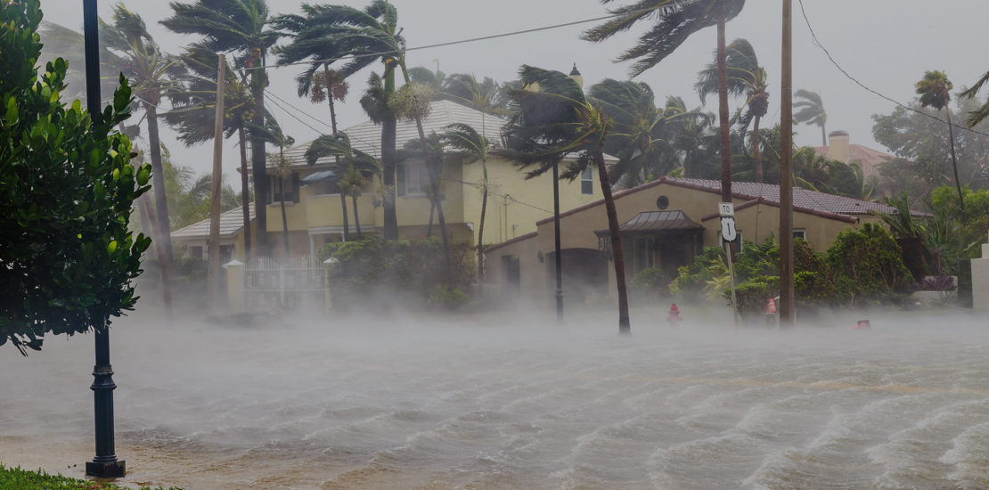 The Miami Strong Disaster Resilience Network