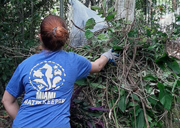 waterkeeper crop