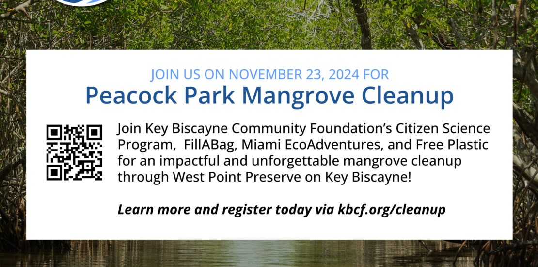 NOV 23 | Key Biscayne Mangrove Cleanup