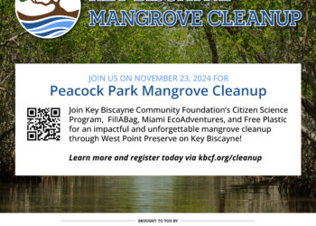 NOV 23 | Key Biscayne Mangrove Cleanup